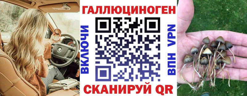 Псилоцибиновые грибы ЛСД  Красный Кут 